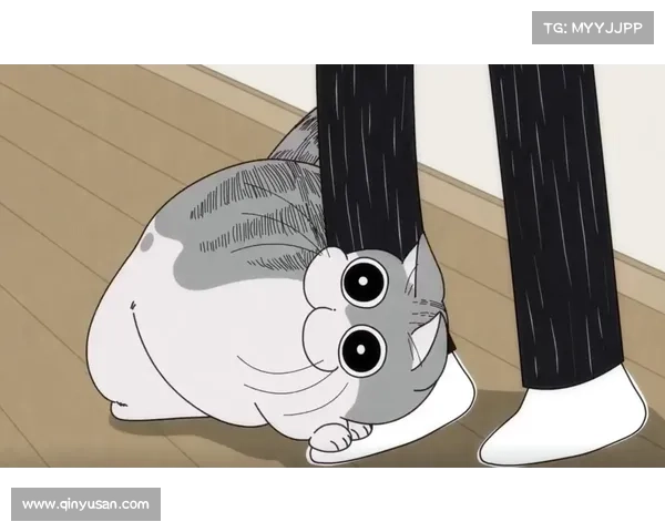 守护友谊与珍惜情感 猫鼠共度温馨夜晚的完美安排攻略 守护友谊与珍惜情感 猫鼠共度温馨夜晚的完美安排攻略