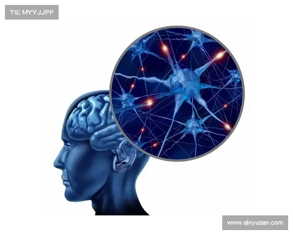 意甲联赛未来发展趋势解析：创新与挑战并存的机遇与前景